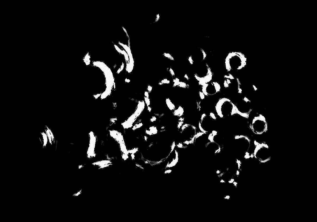 Don't Play with My Hair